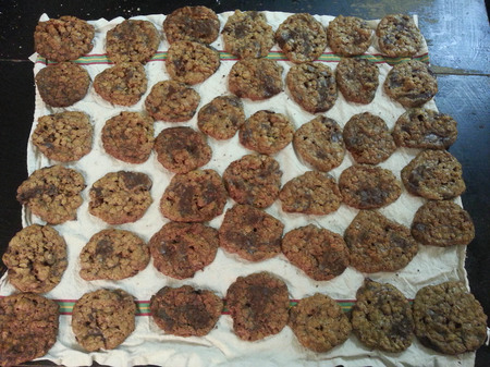 Oatmeal Chocolate Cookies.jpg