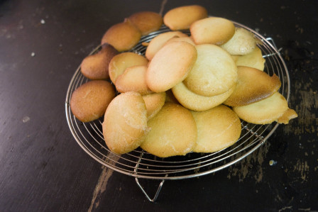 macarons sur une grille à patisserie