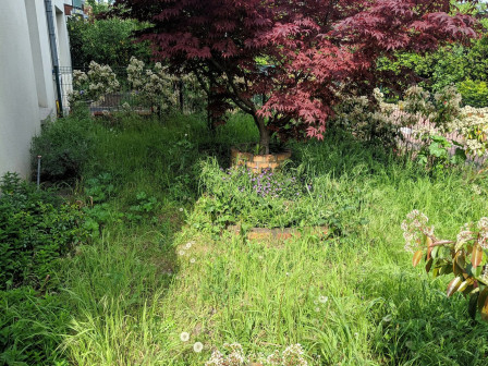 Jardin avant tonde