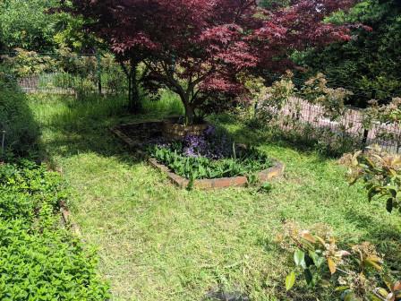 jardin avec un érable du canada violet au centre
