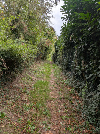 Sentier des Allées à Epiais Rhus