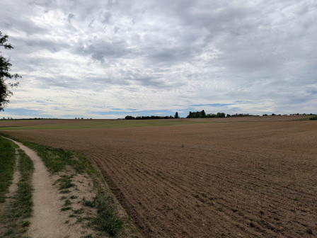Champs à Génicourt