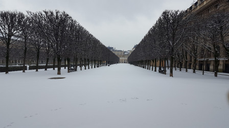 Palais Royal