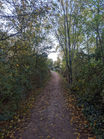 Allée du parc des chanteraines un matin de novembre
