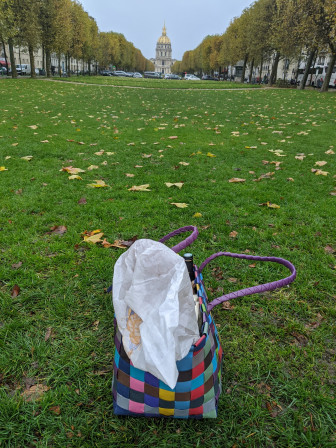 Panier de course posé sur la pelouse de l'avenue de Saxe depuis la place de Breteuil