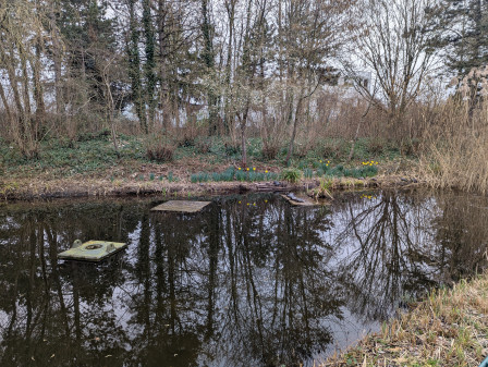 Étang des tortues de Floride au parc des Chanteraines