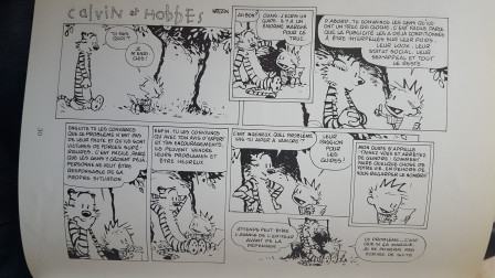 photo de la planche de Calvin & Hobbes d'où est tirée la citation
